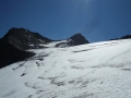 small-29_glacier_wurmtaler_kopf