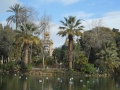 small-010_parc_de_la_ciutadella2