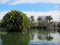 small-011_parc_de_la_ciutadella3