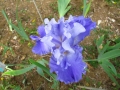 small.IMG_1098