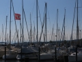 small.IMG_4003