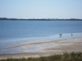 small.IMG_1508