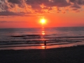 small.IMG_1536