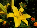 DSCF0346