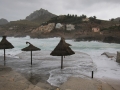 small.IMG_3317.JPG