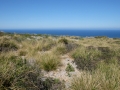 small.DSCF0790.JPG