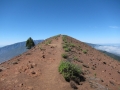small.IMG_3946.JPG