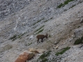 hiking from Rifugio Faloria to Lago di Sorapis