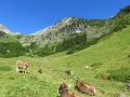 trail to Gaishorn