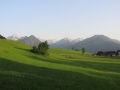 small.IMG_3394