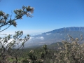 small.IMG_3973.JPG